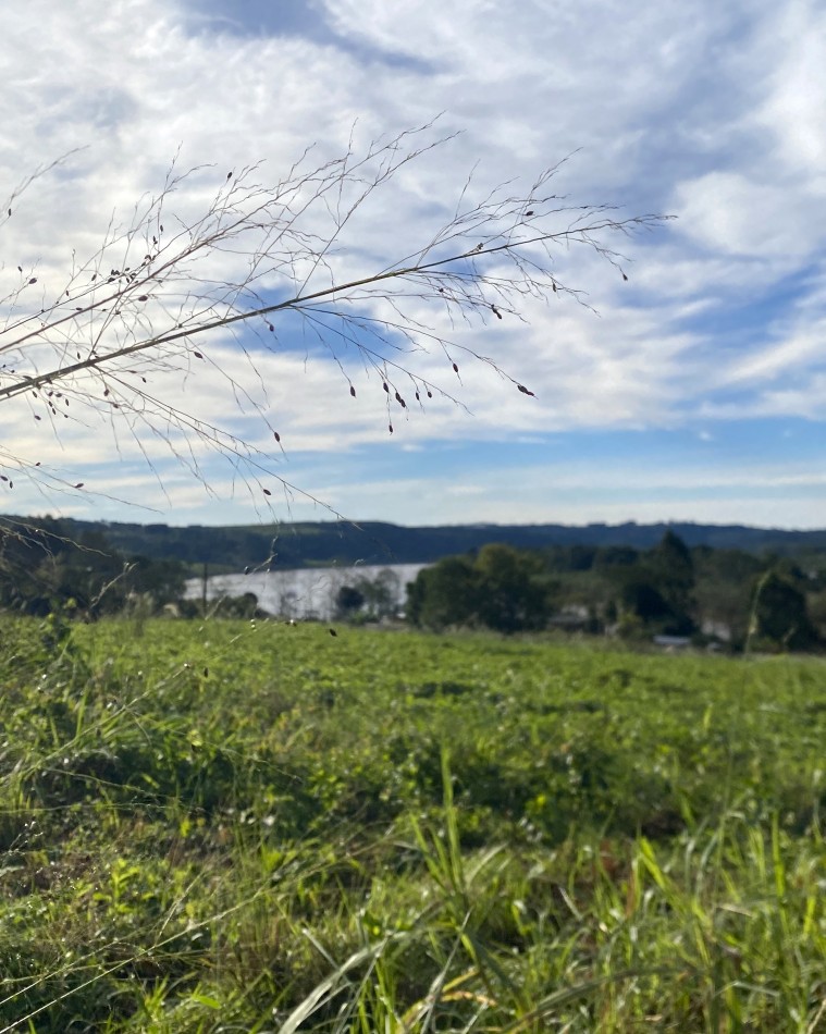 Terrenos Financiados 