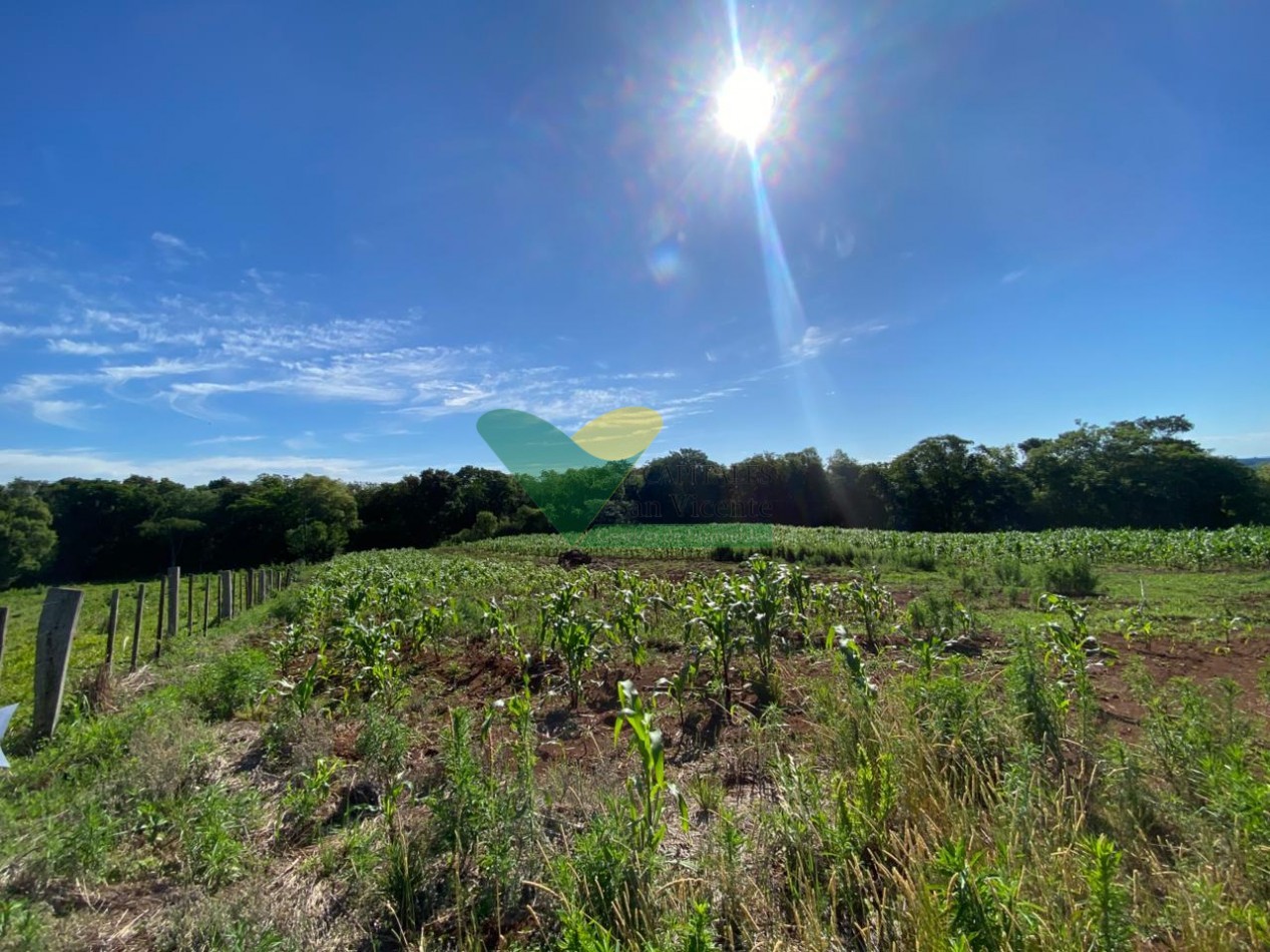 CHACRA 20 HA, PARAJE EL DORADITO