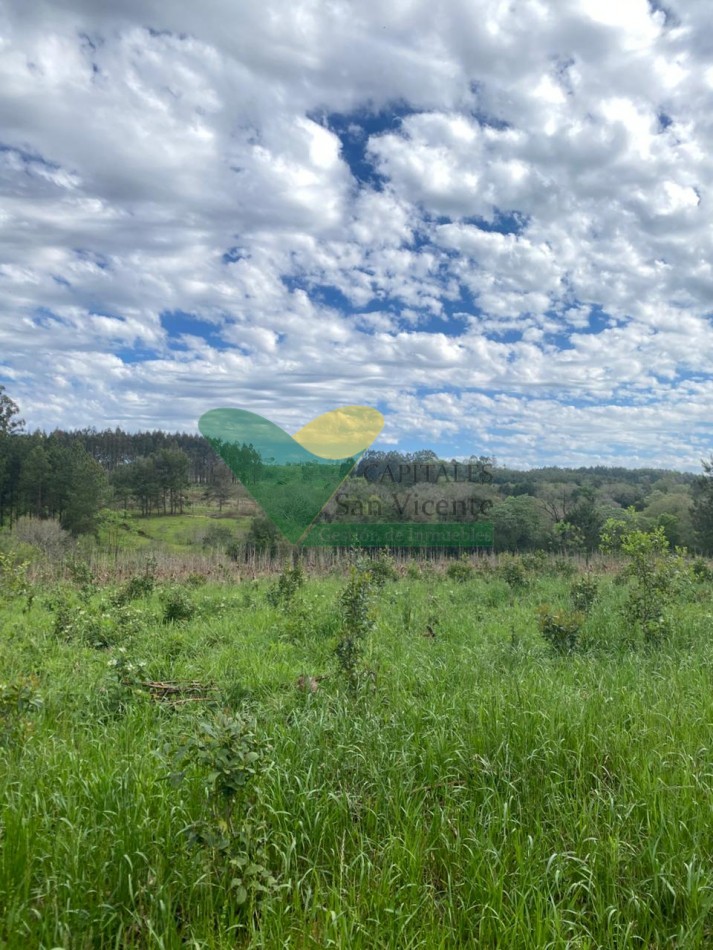 CHACRA 3 HA