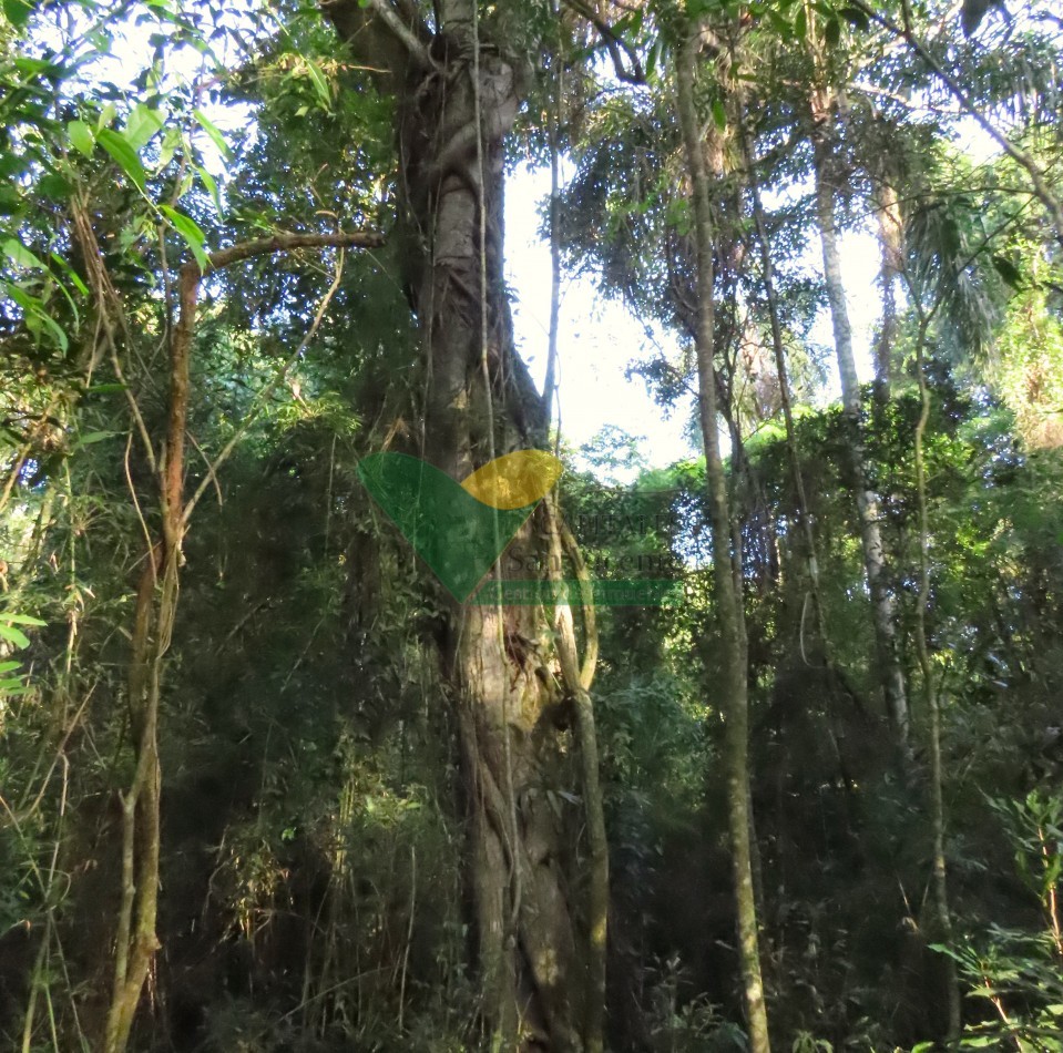 Chacra en el Soberbio Mnes