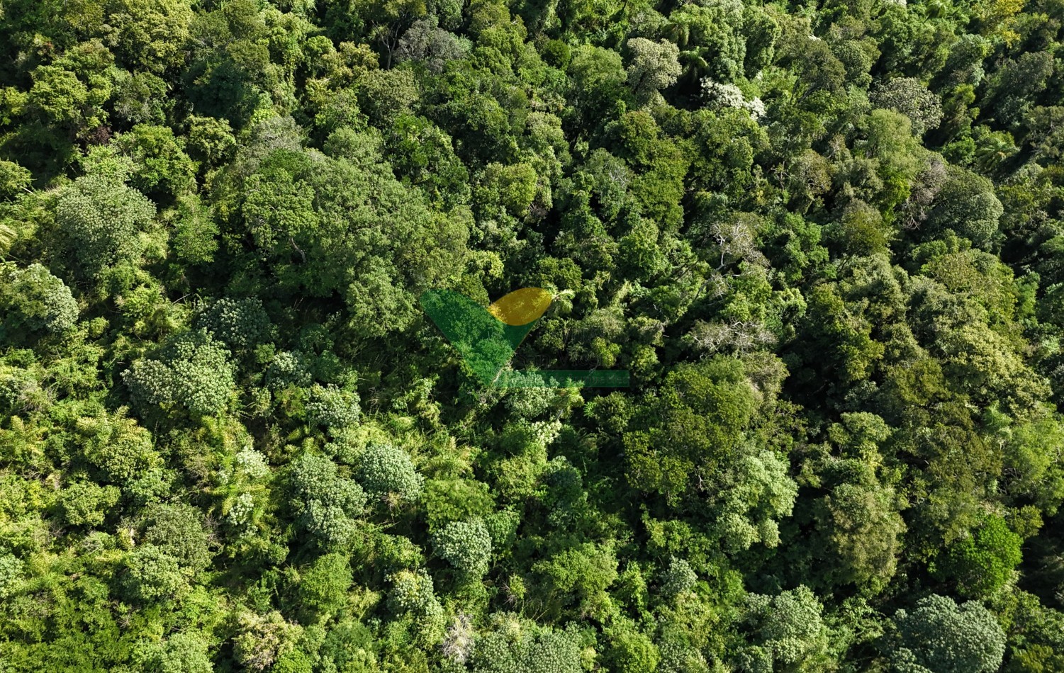 Chacra de 41 Hectareas en Pozo Azul
