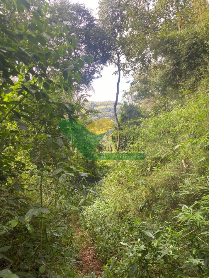 Chacra 95 ha
