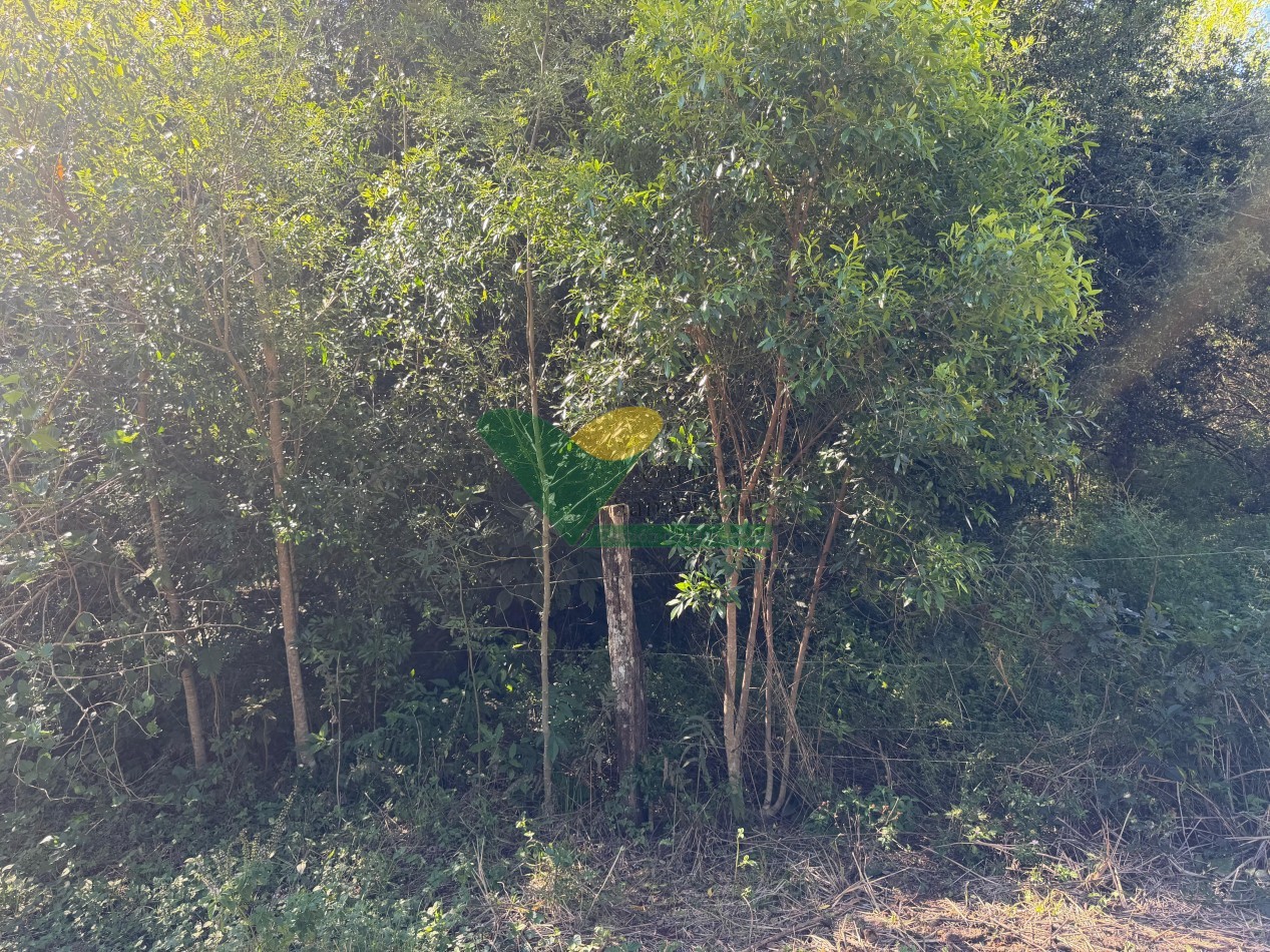 Chacra de 41 Hectareas en Pozo Azul