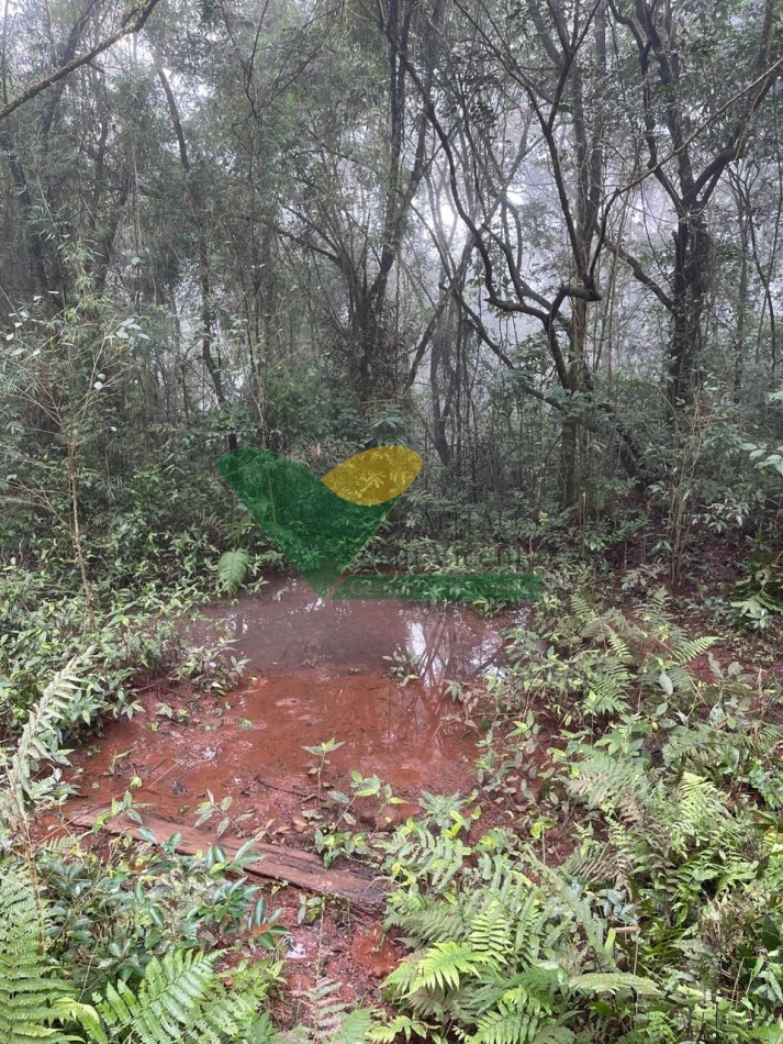 CHACRA 25 HECTAREAS