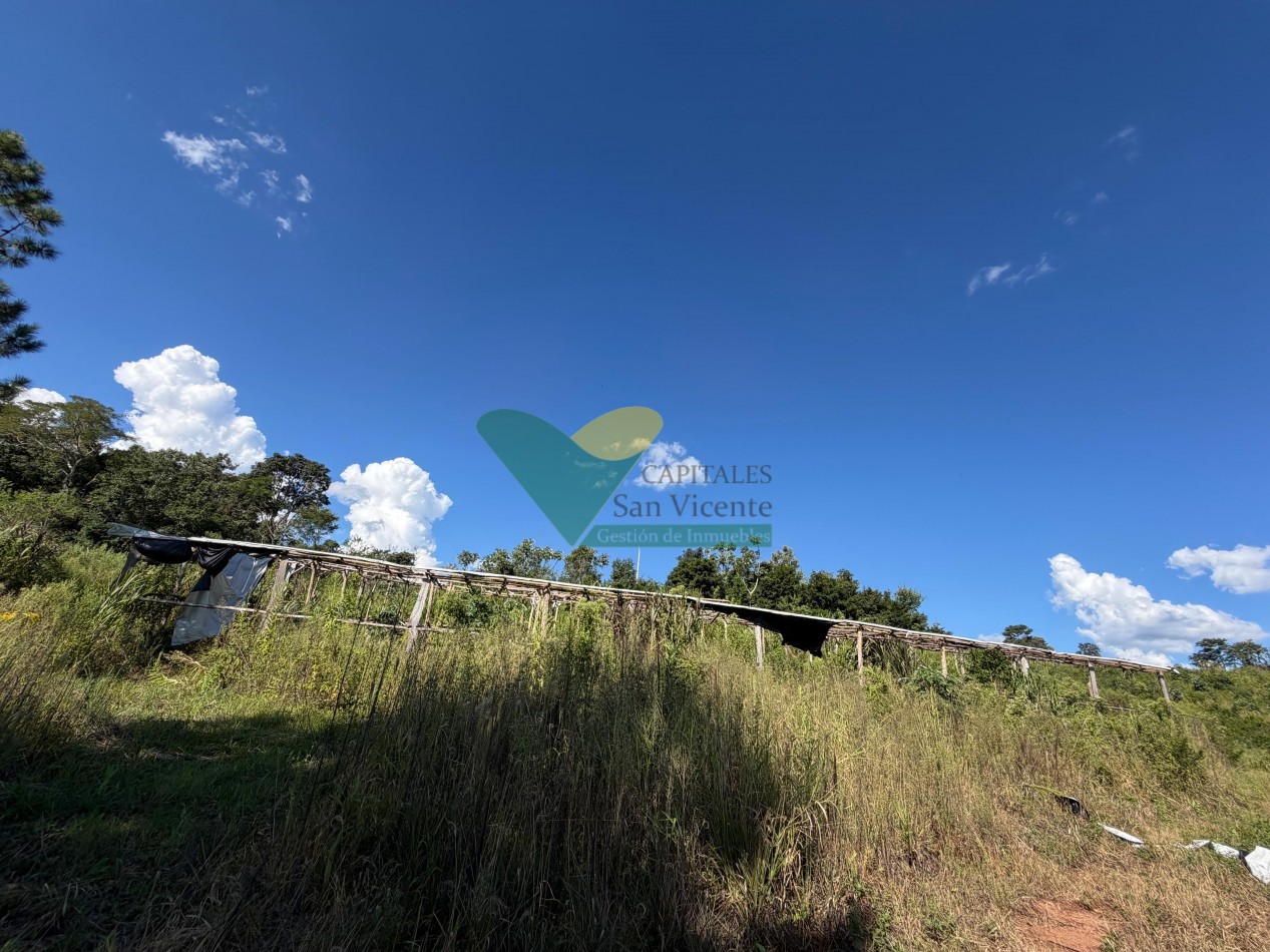 Chacra de 41 Hectareas en Pozo Azul