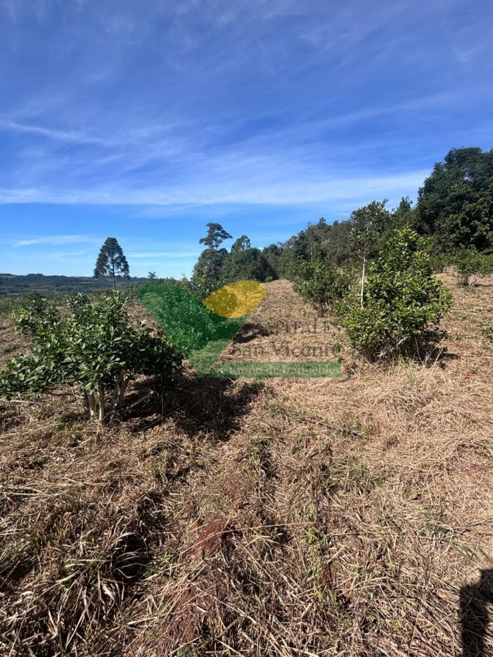 CHACRA 25 HECTAREAS