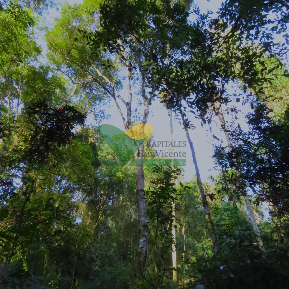 Chacra en el Soberbio Mnes