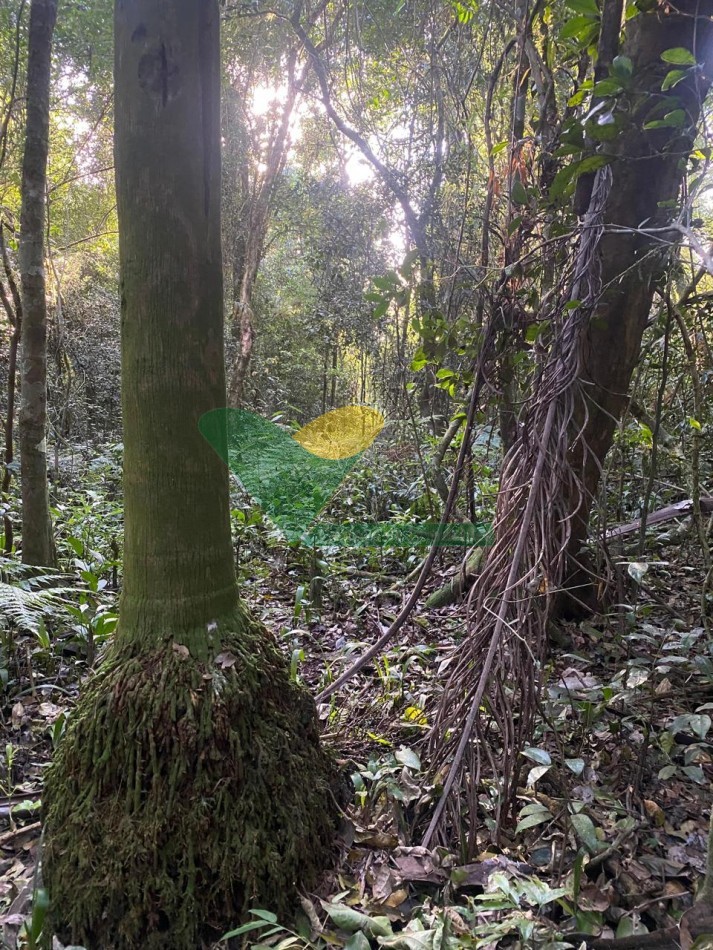 Chacra en el Soberbio Mnes