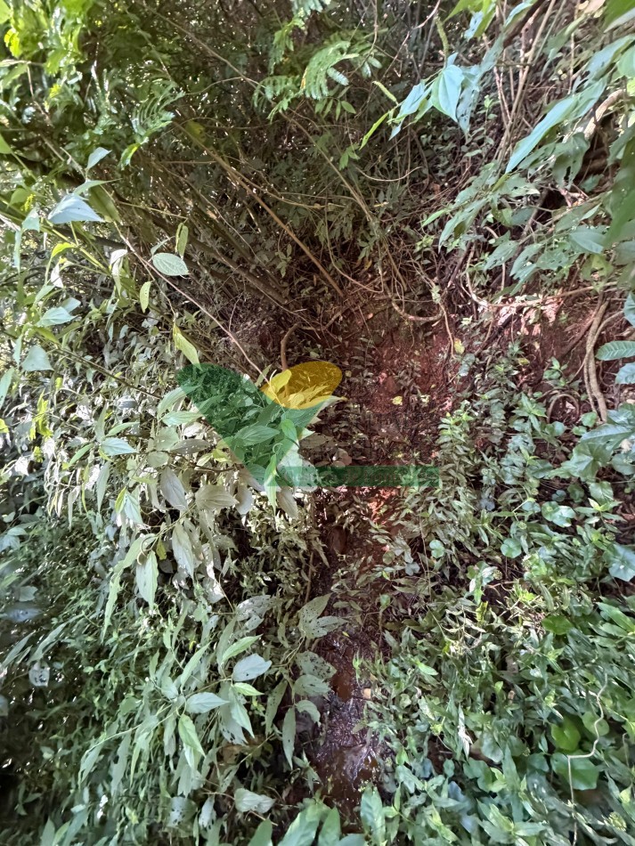 Chacra de 41 Hectareas en Pozo Azul