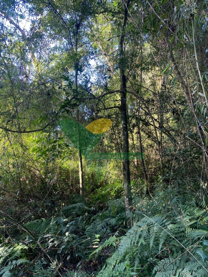 Chacra en el Soberbio Mnes