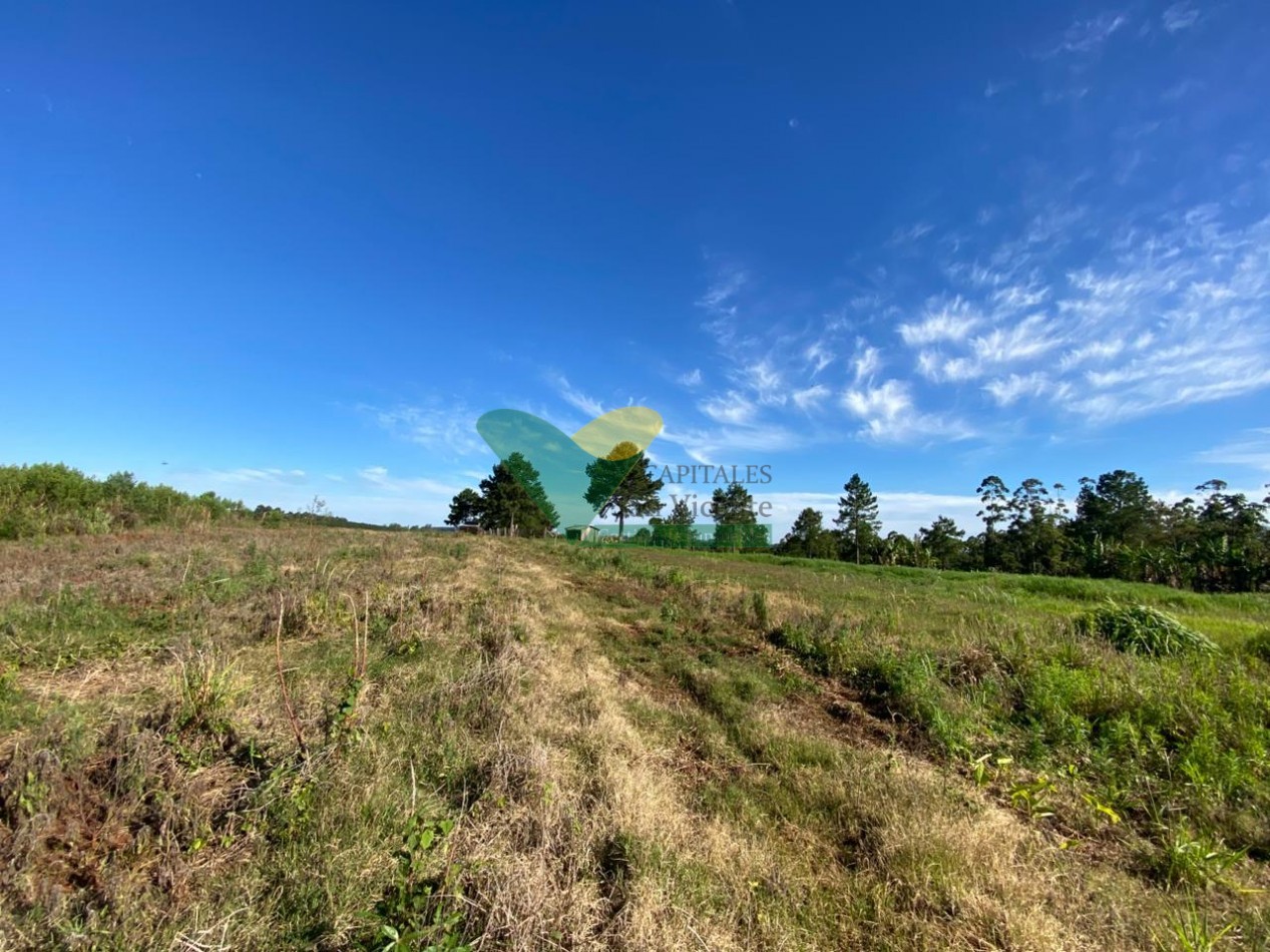 CHACRA 20 HA, PARAJE EL DORADITO