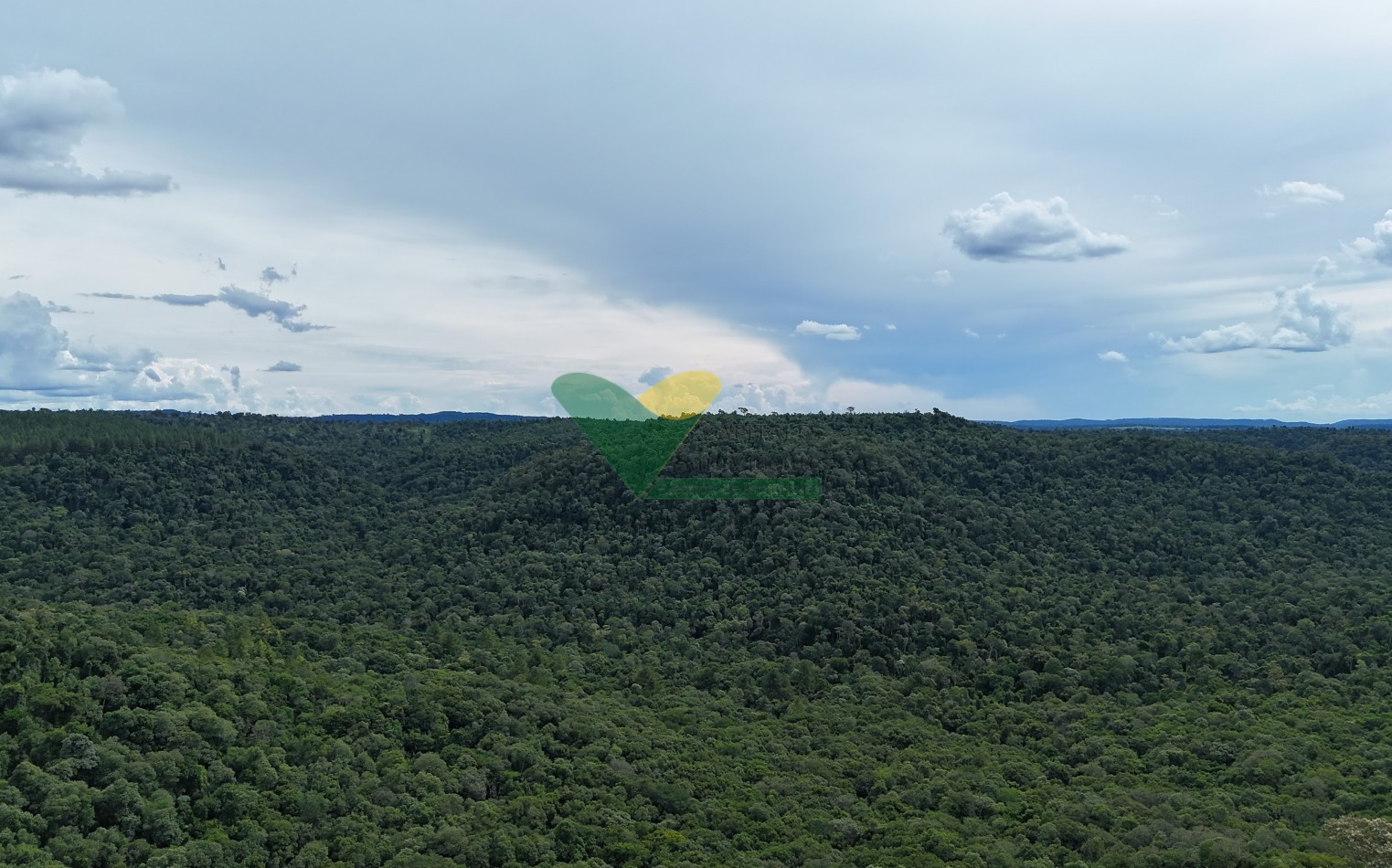 Chacra 101 ha