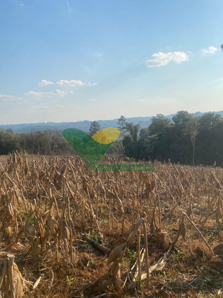 CHACRA 25 HECTAREAS