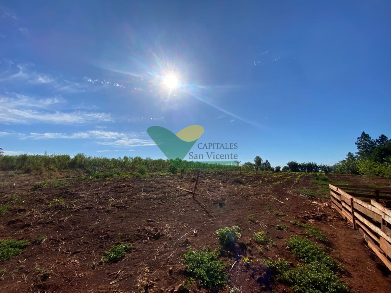 CHACRA 20 HA, PARAJE EL DORADITO