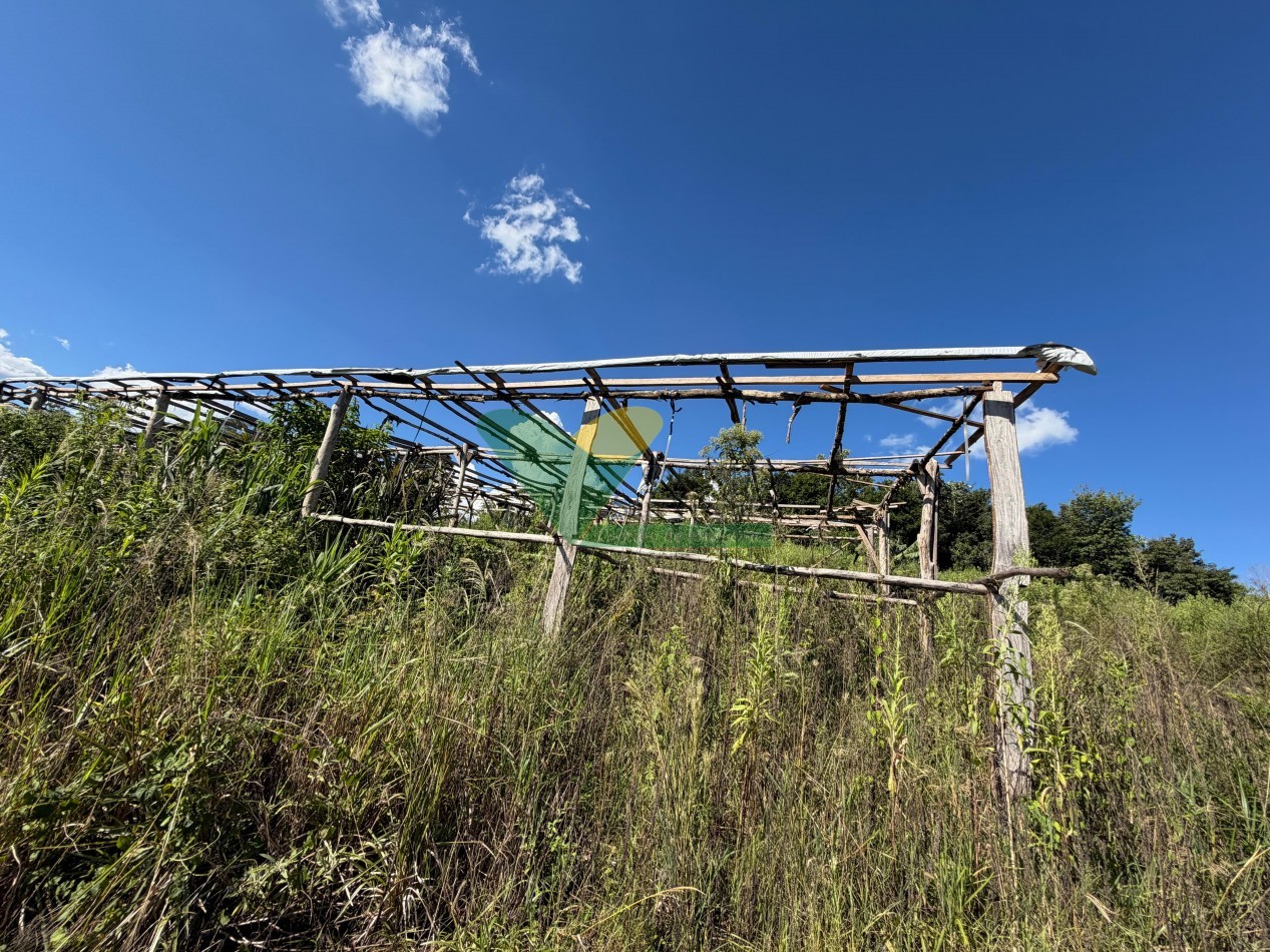 Chacra de 41 Hectareas en Pozo Azul