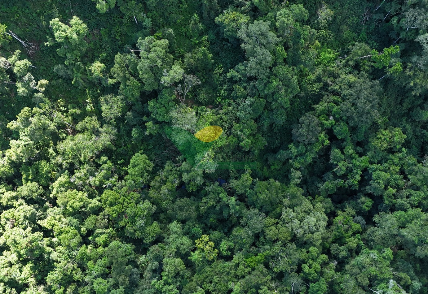 Chacra de 41 Hectareas en Pozo Azul
