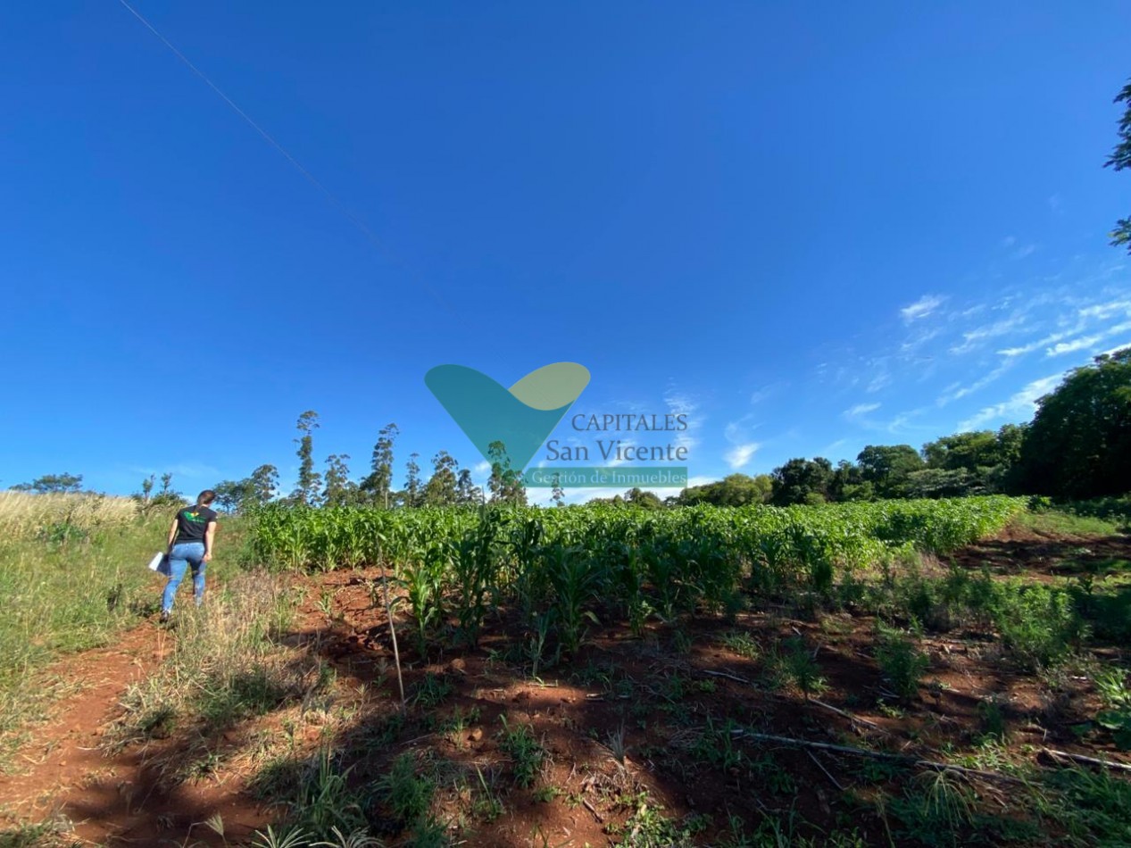 CHACRA 20 HA, PARAJE EL DORADITO