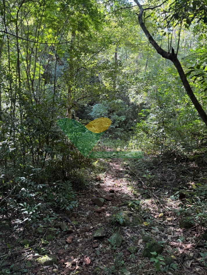 Chacra de 41 Hectareas en Pozo Azul