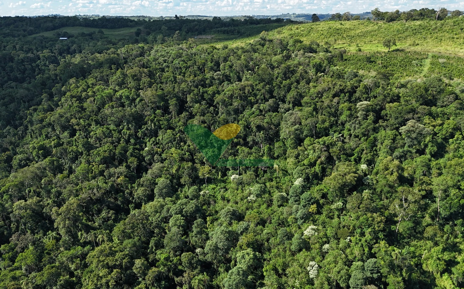Chacra de 41 Hectareas en Pozo Azul