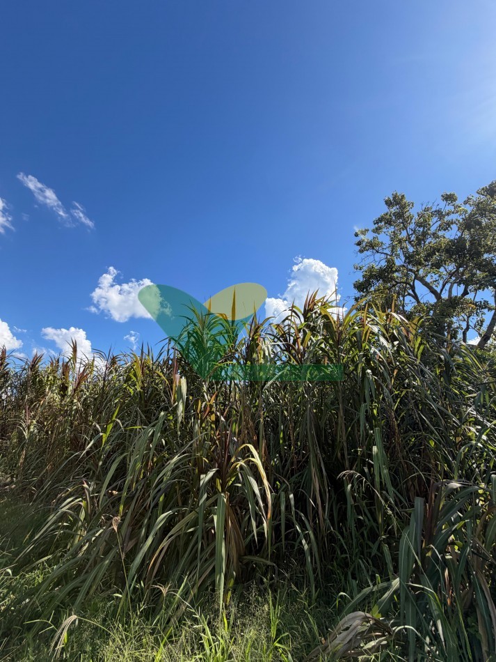 Chacra de 41 Hectareas en Pozo Azul