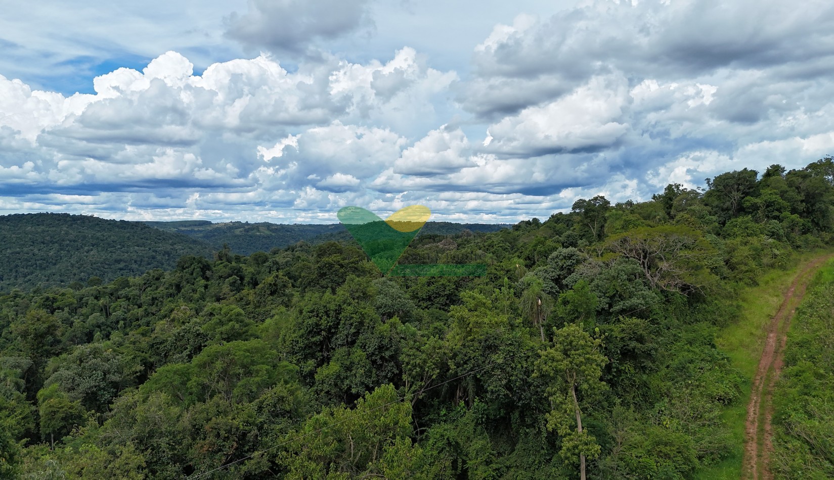 Chacra 101 ha