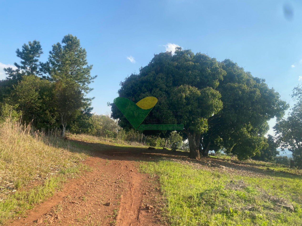 CHACRA 25 HECTAREAS