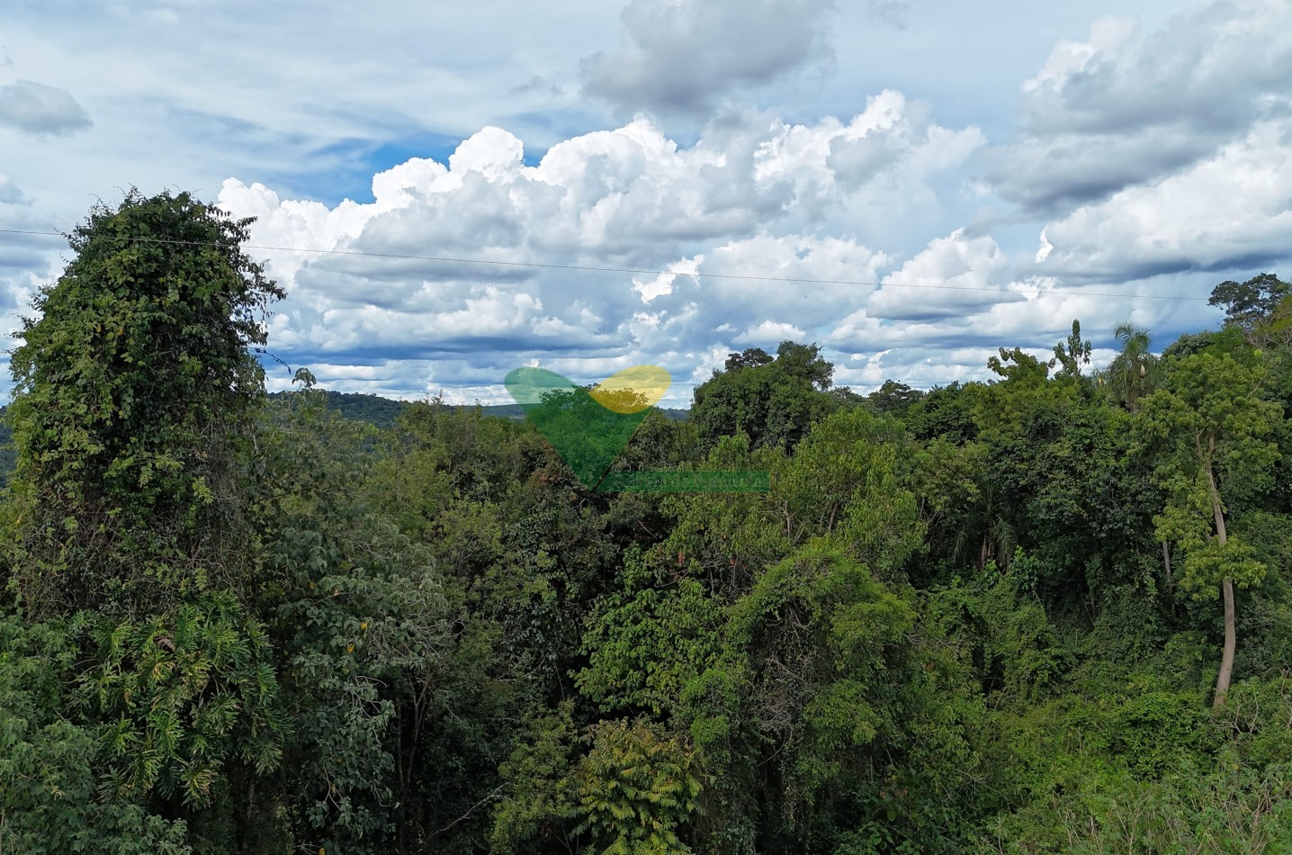 Chacra 101 ha