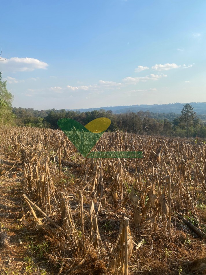 CHACRA 25 HECTAREAS