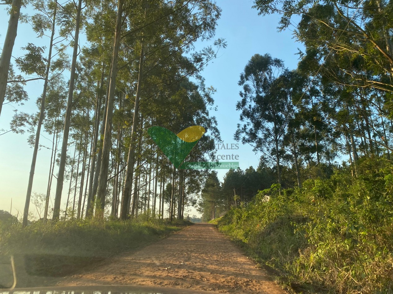 Chacra en Venta
