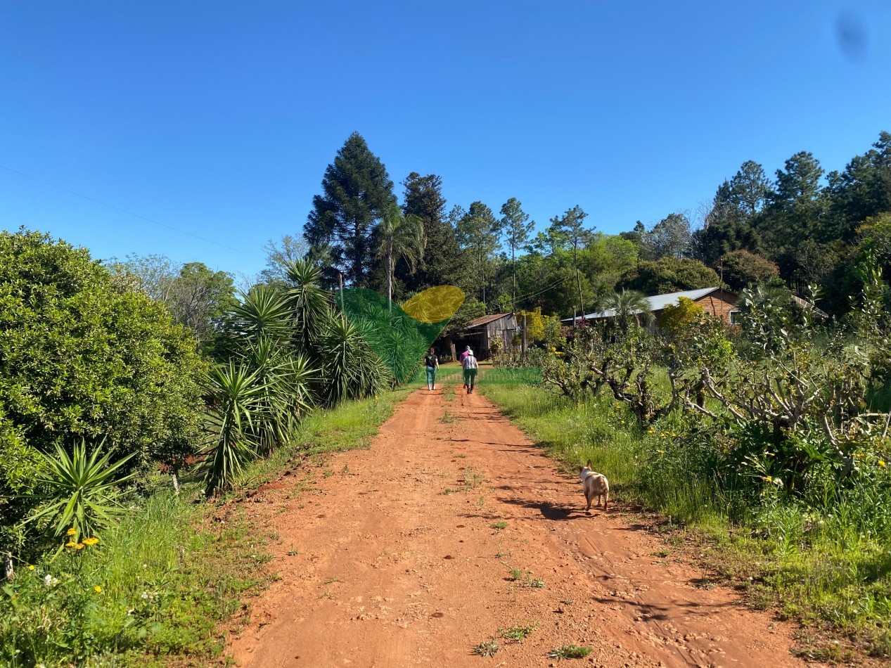 CHACRA 22 HECTAREAS
