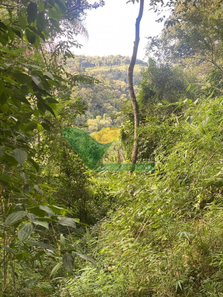 Chacra 95 ha