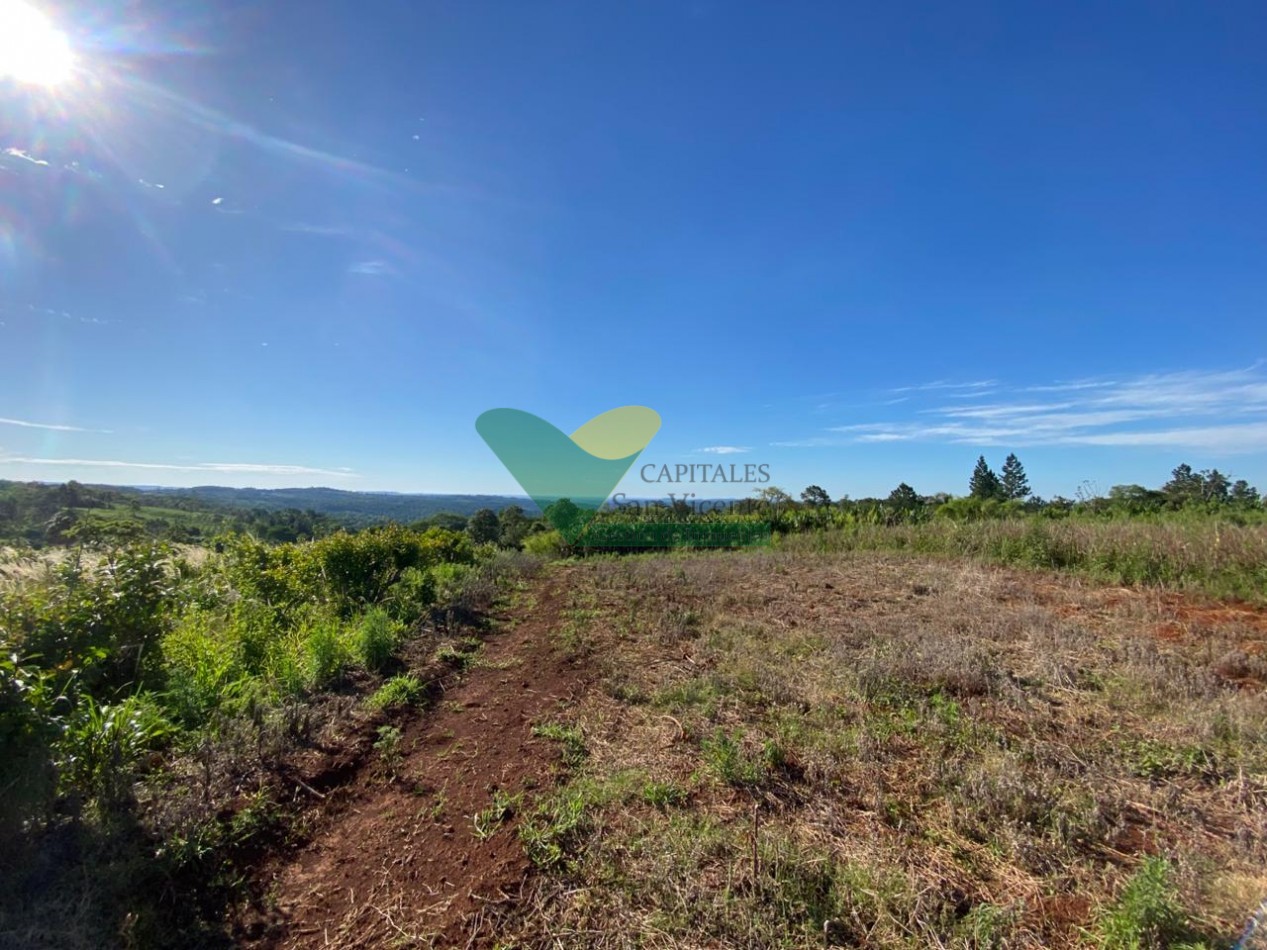 CHACRA 20 HA, PARAJE EL DORADITO