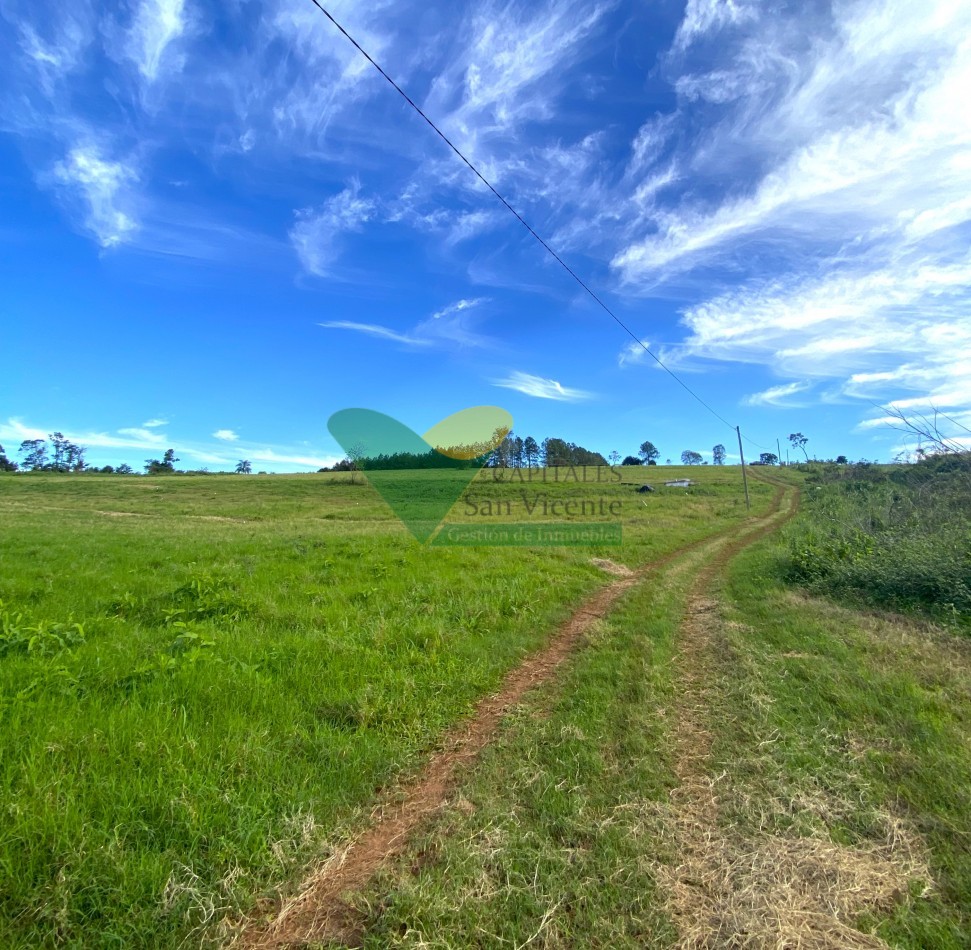 Terrenos Financiados 