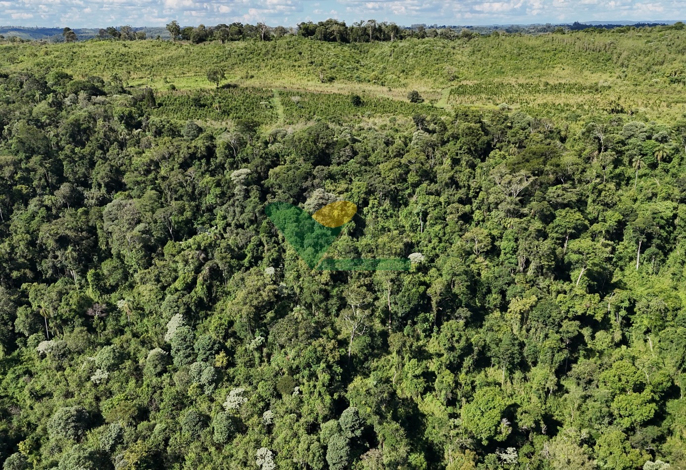 Chacra de 41 Hectareas en Pozo Azul