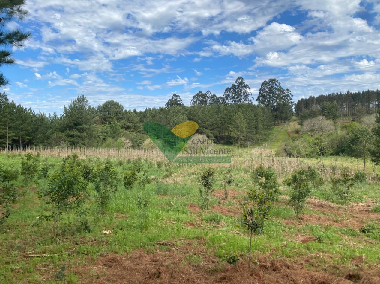 CHACRA 3 HA