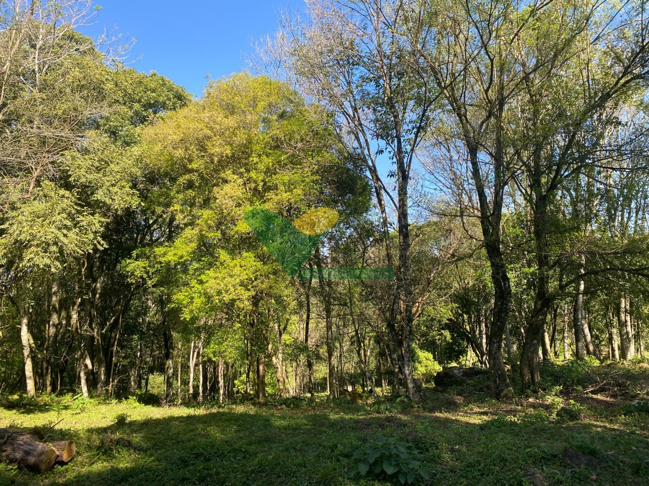 CHACRA 22 HECTAREAS