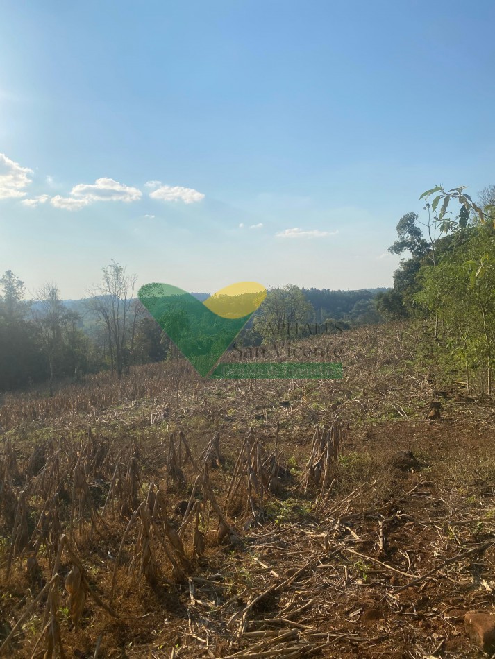 CHACRA 25 HECTAREAS