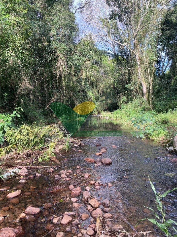 Chacra 95 ha