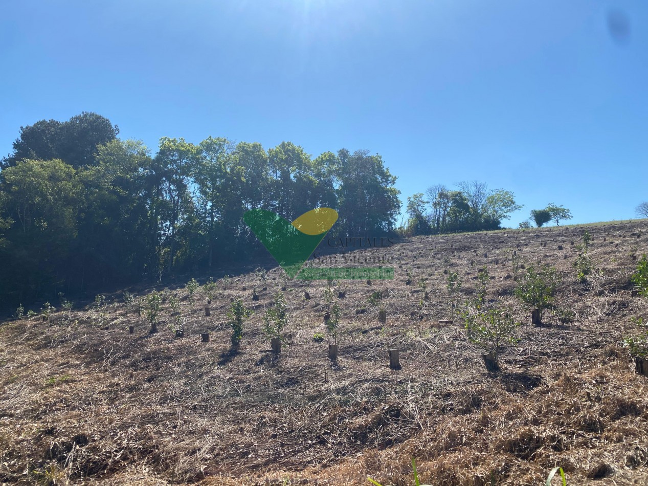 CHACRA 22 HECTAREAS