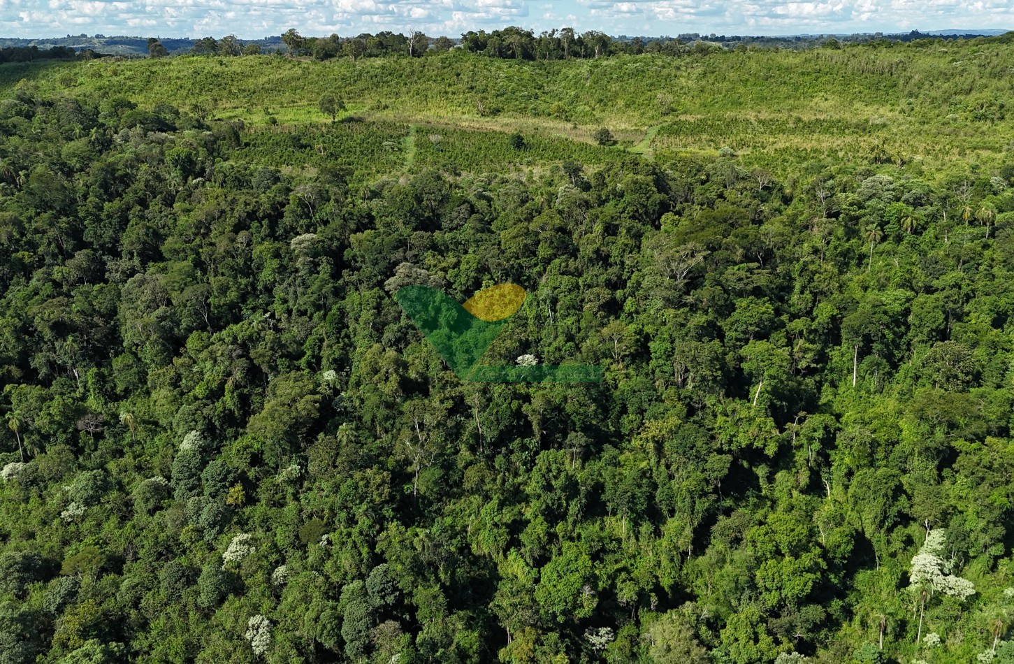 Chacra de 41 Hectareas en Pozo Azul