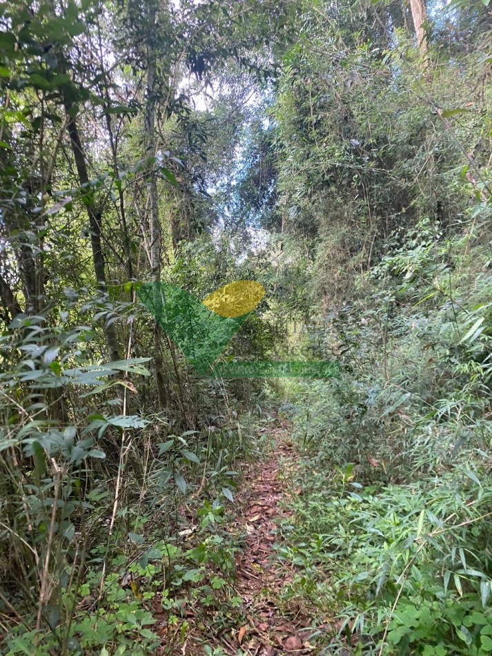 Chacra 95 ha