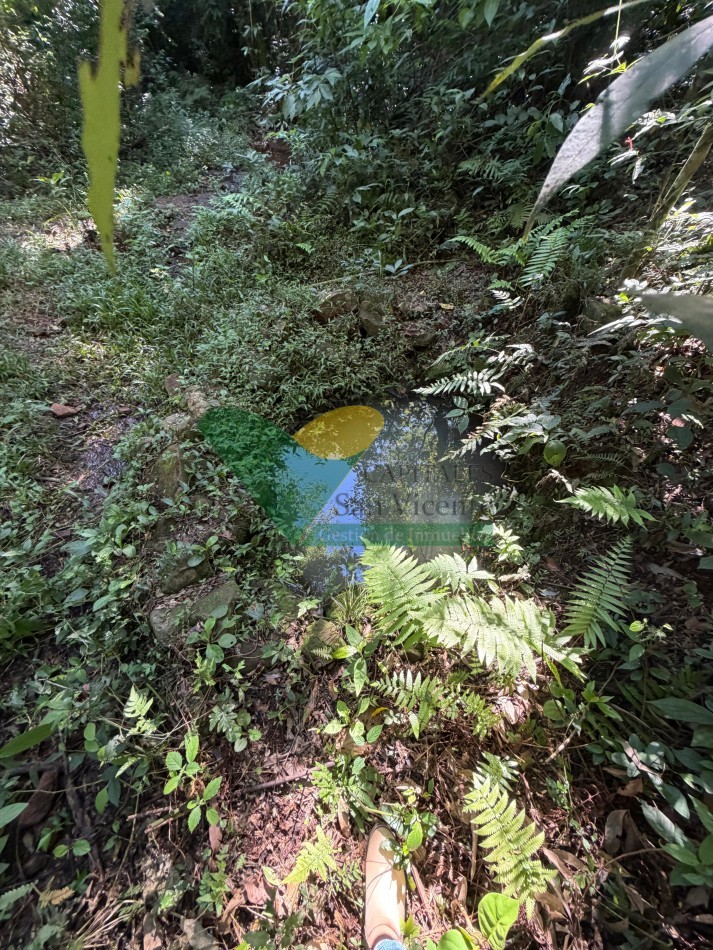 Chacra de 41 Hectareas en Pozo Azul