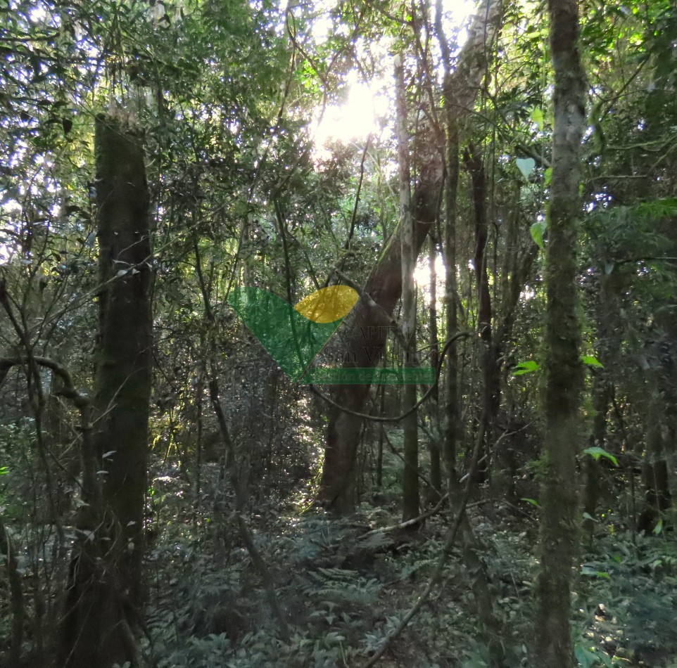 Chacra en el Soberbio Mnes