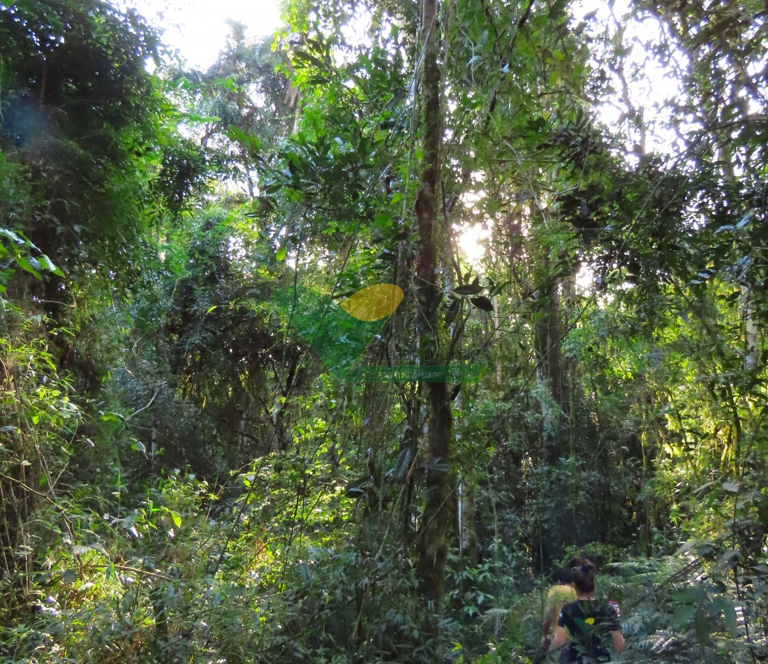 Chacra en el Soberbio Mnes