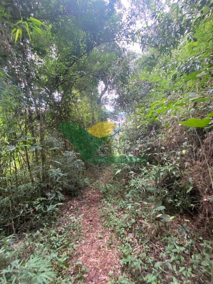 Chacra 95 ha