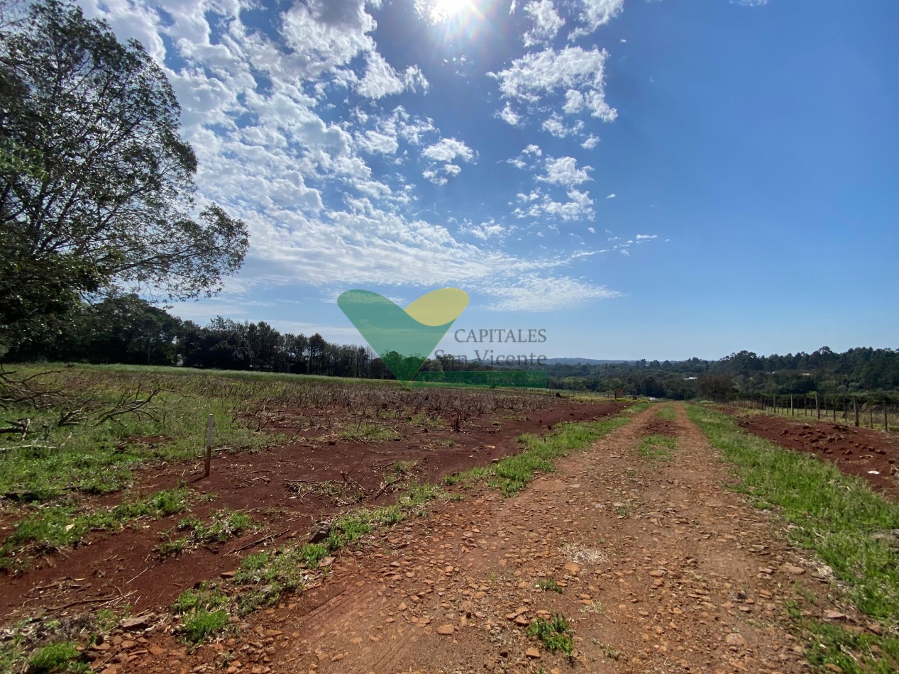 TERRENO EN SAN VICENTE