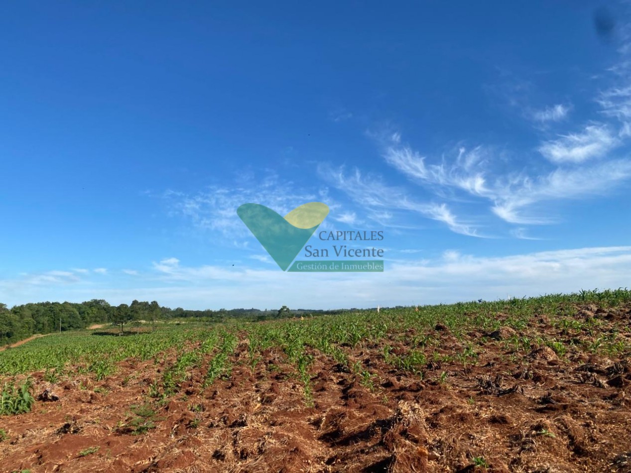 CHACRA 20 HA, PARAJE EL DORADITO