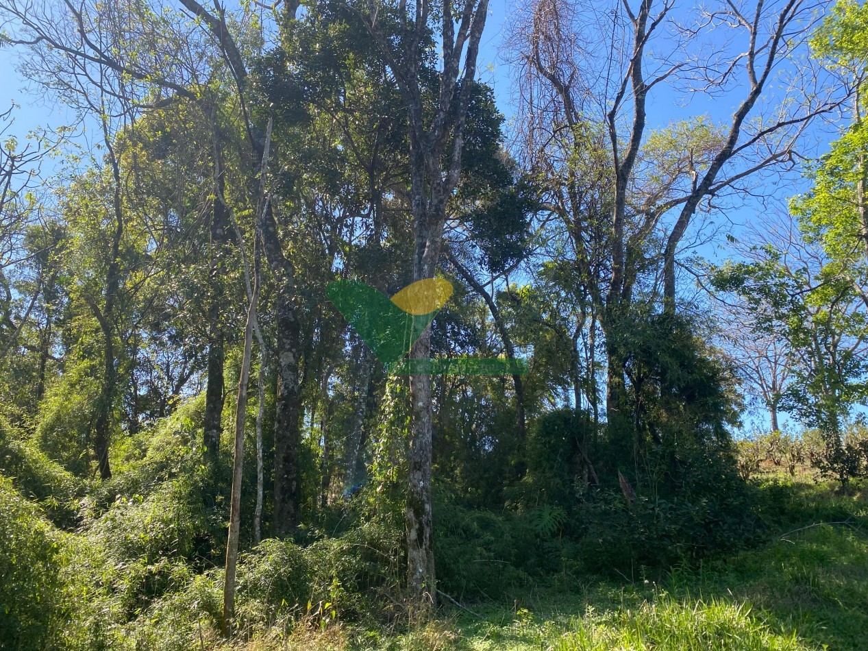 CHACRA 22 HECTAREAS