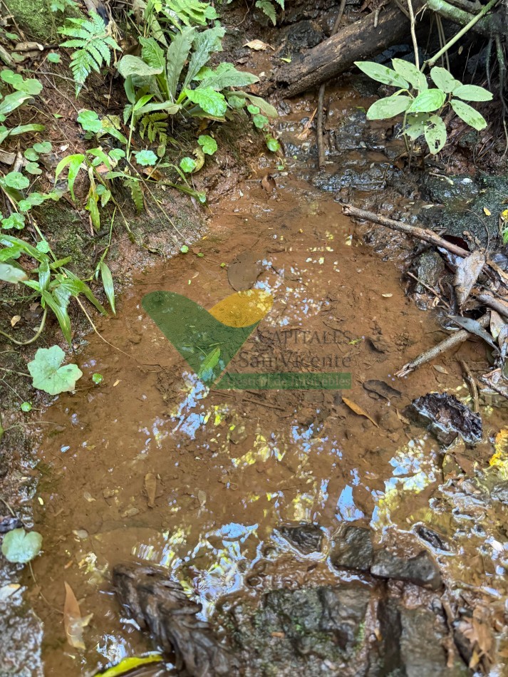 Chacra de 41 Hectareas en Pozo Azul