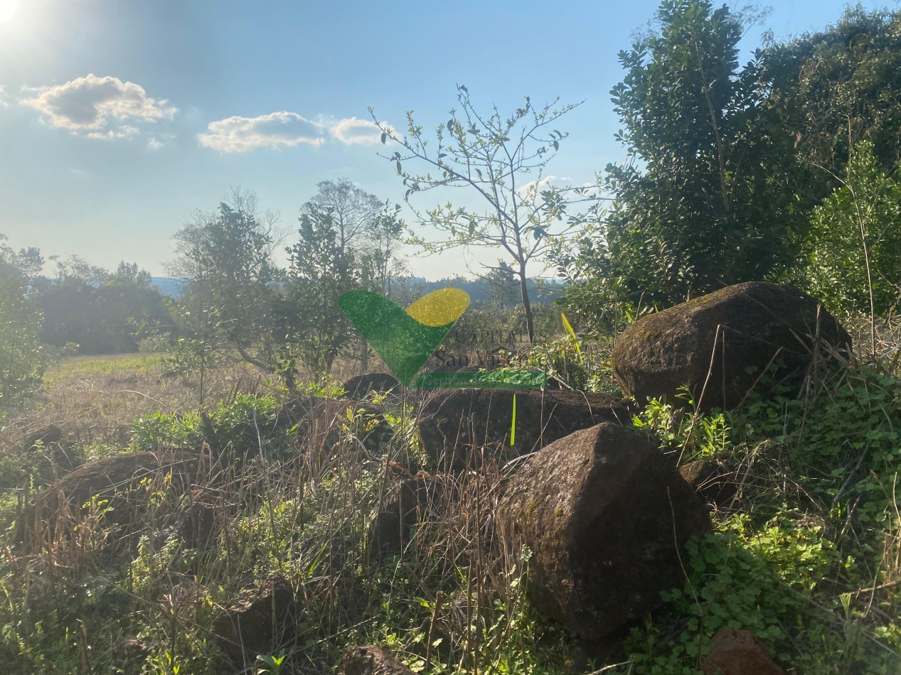 CHACRA 25 HECTAREAS